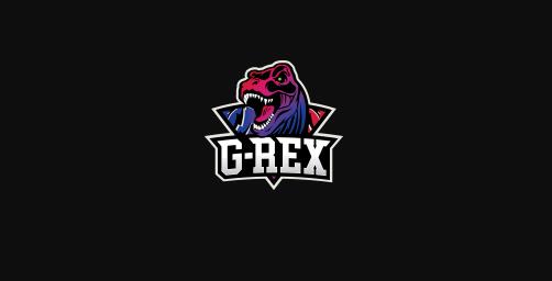 《英雄联盟》GRX战队现役成员介绍