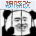 bvn老魏改3.8经典版下载