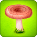 森林部落蘑菇农场手机版下载