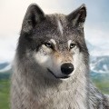 狼族崛起下载最新版本安装
