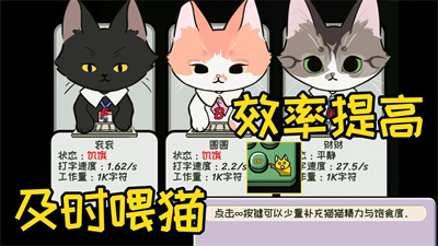 无限猫猫计划下载最新版